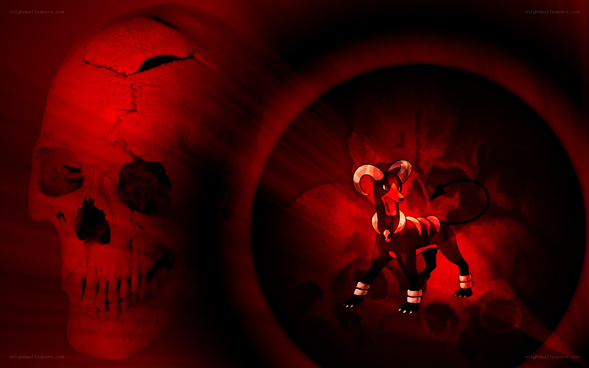 Dark Pokémon with skull background