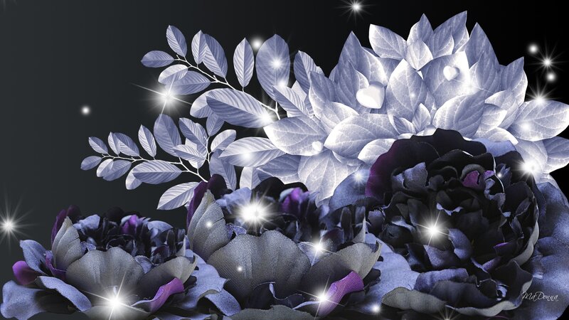 Dark Purple Flowers