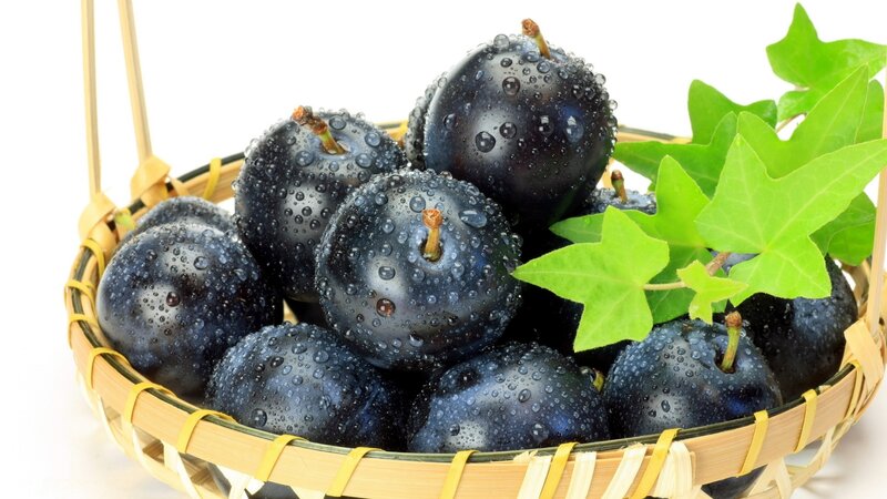 Dark Purple Plums