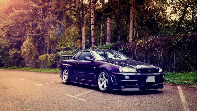 Dark purple sports car in forest