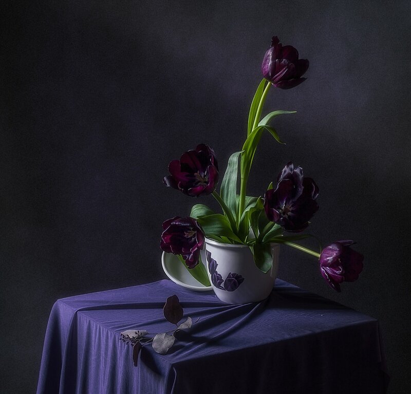 Dark Purple Tulips in Vase