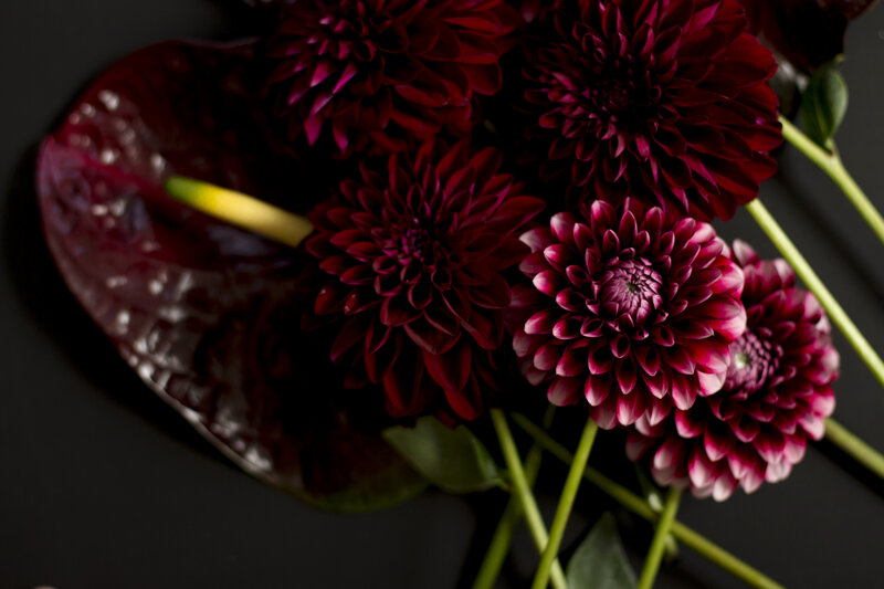 Dark Red Dahlias and Anthurium