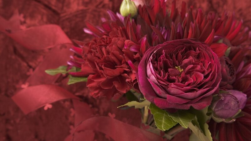 Dark Red Flowers — Dramatic