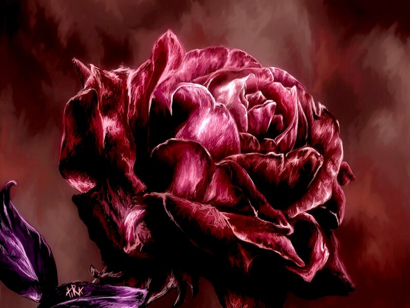 Dark Red Rose — Dramatic, Digital Art