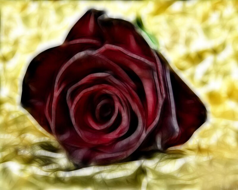 Dark Red Rose — Dramatic, Digital Art, Yellow Background
