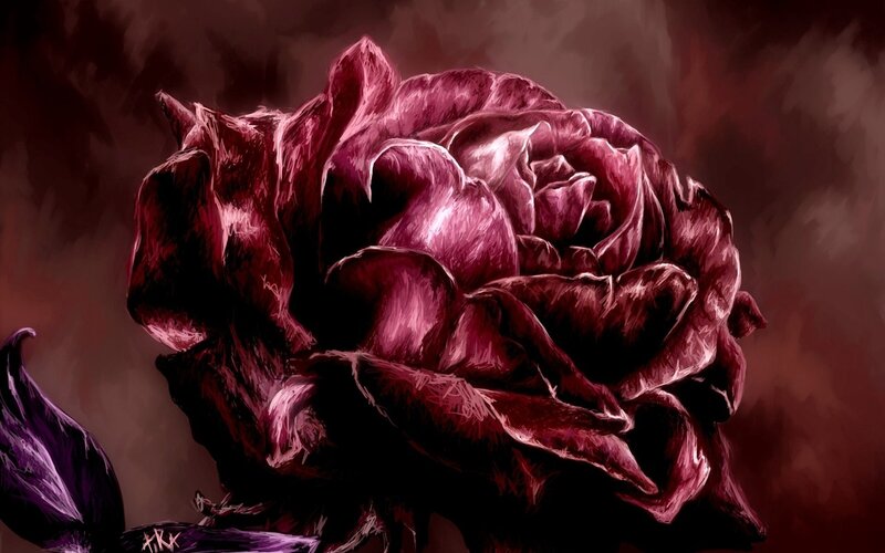 Dark Red Rose — Purple, Dramatic, Digital Art