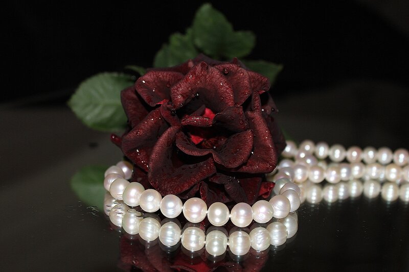 Dark Red Rose with Pearls