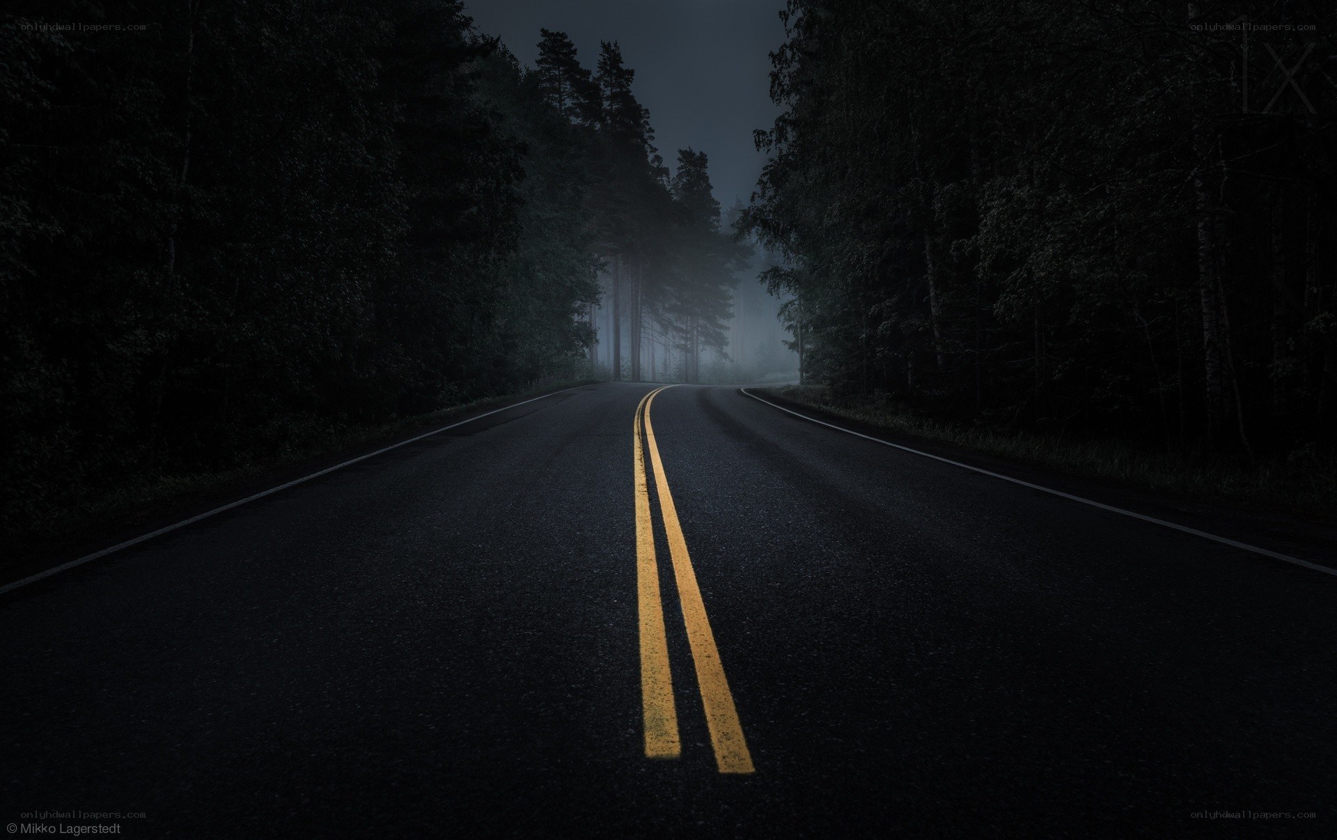 Dark road in a misty forest