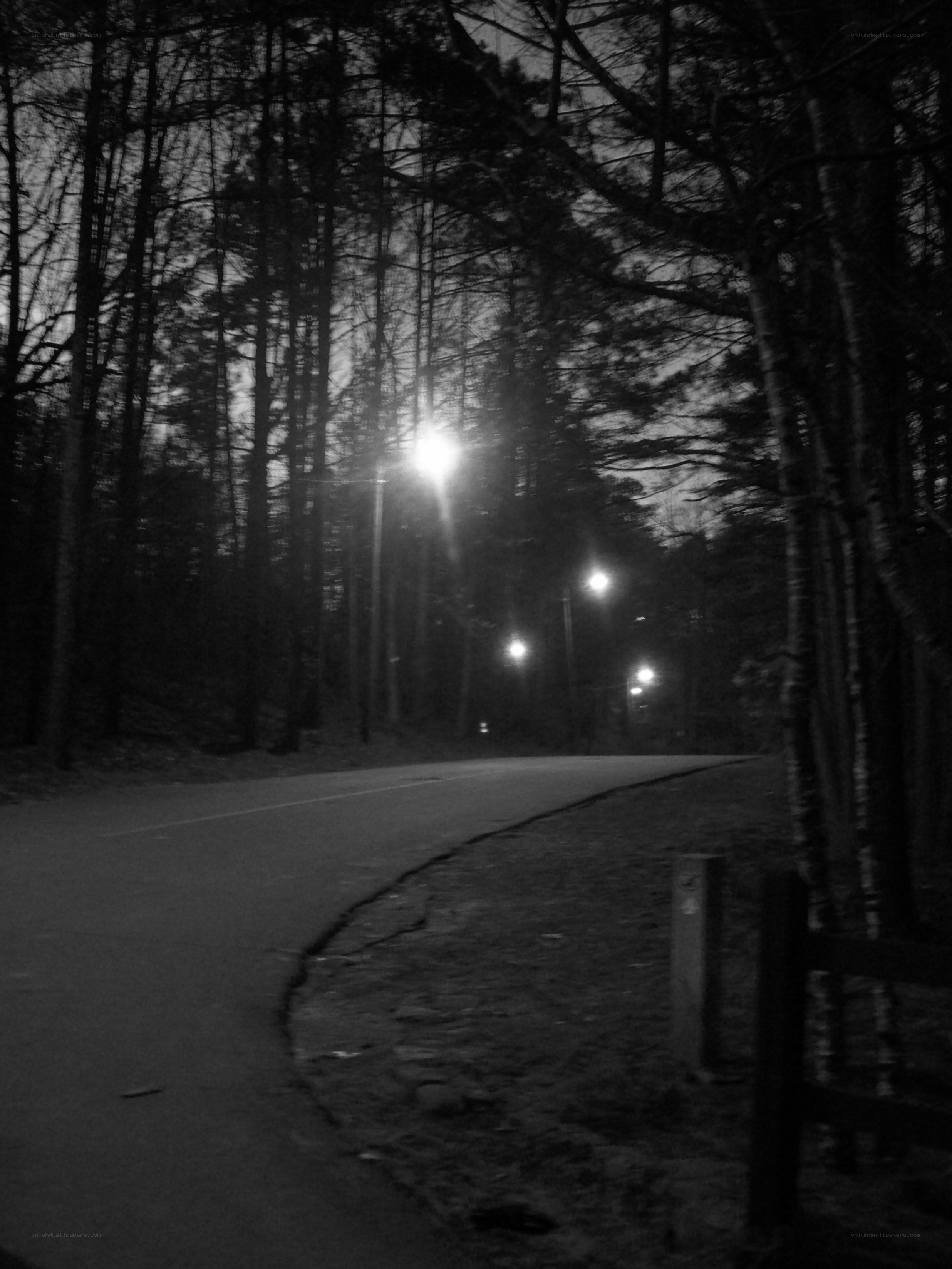 Dark road in forest at night