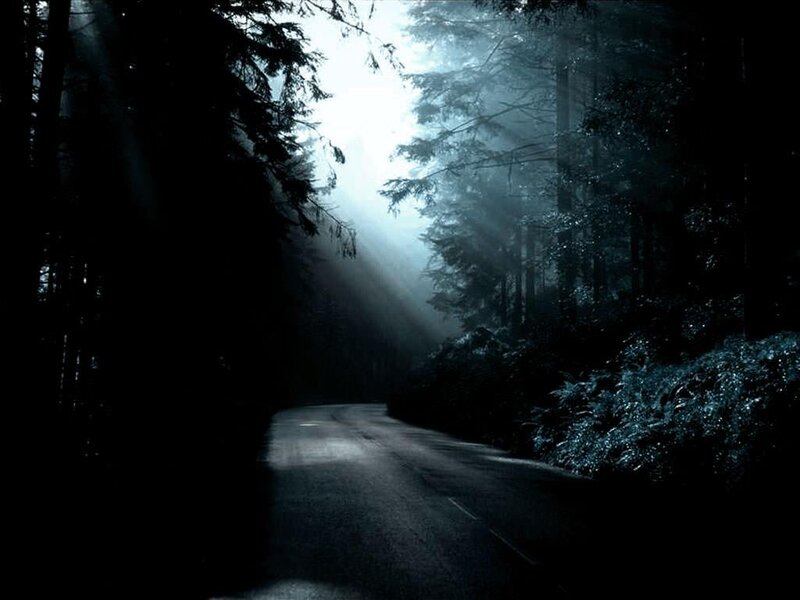 Dark Road in Forest