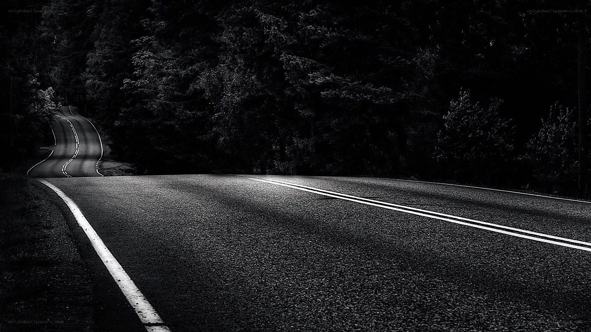 Dark road through forest