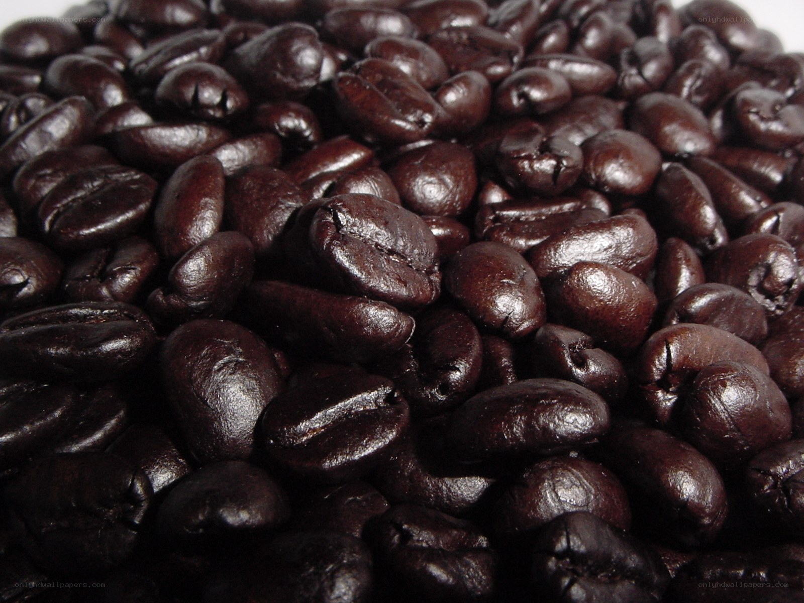dark roasted coffee beans