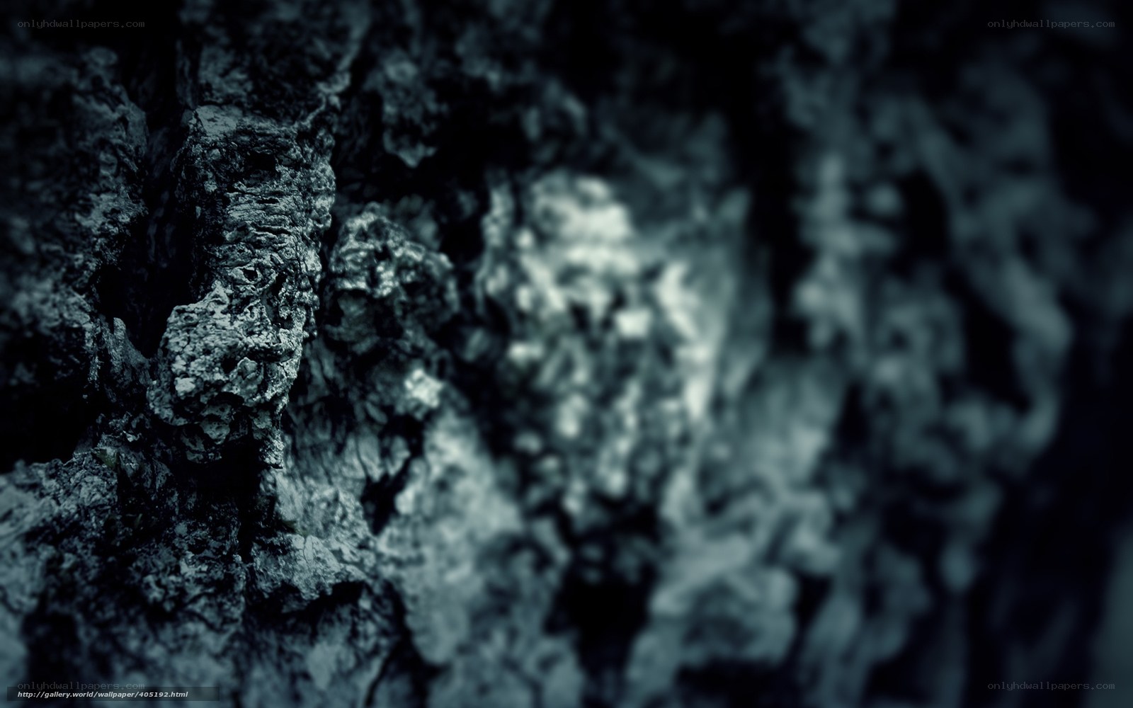 dark rock texture close-up