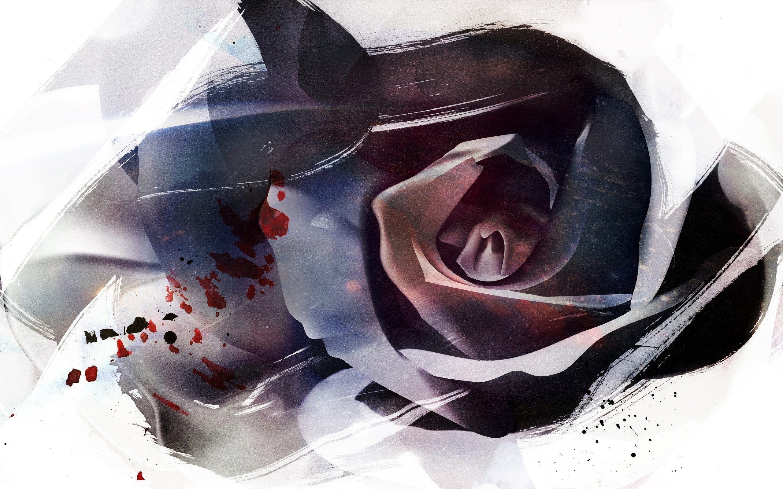 dark rose with blood splatter