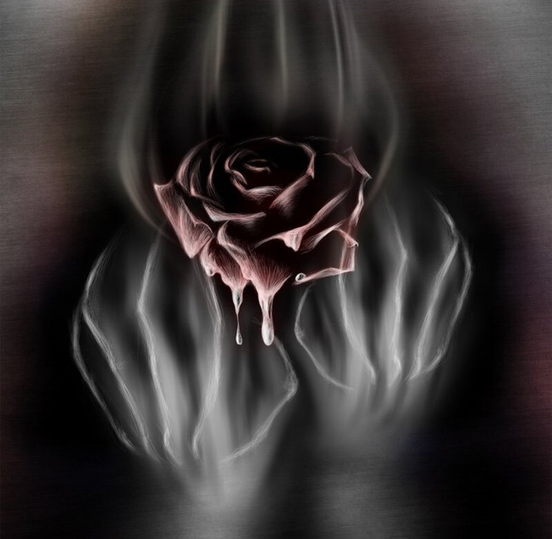 Dark Rose with Dripping Petals