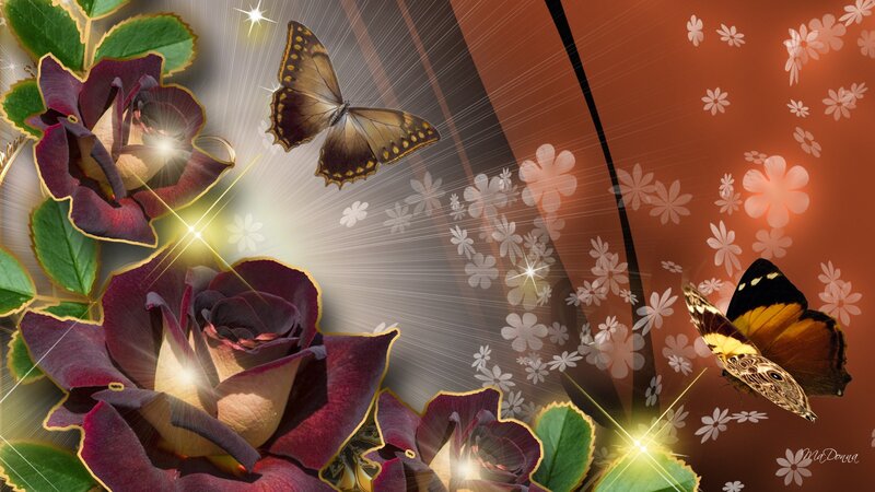 Dark Roses and Butterflies