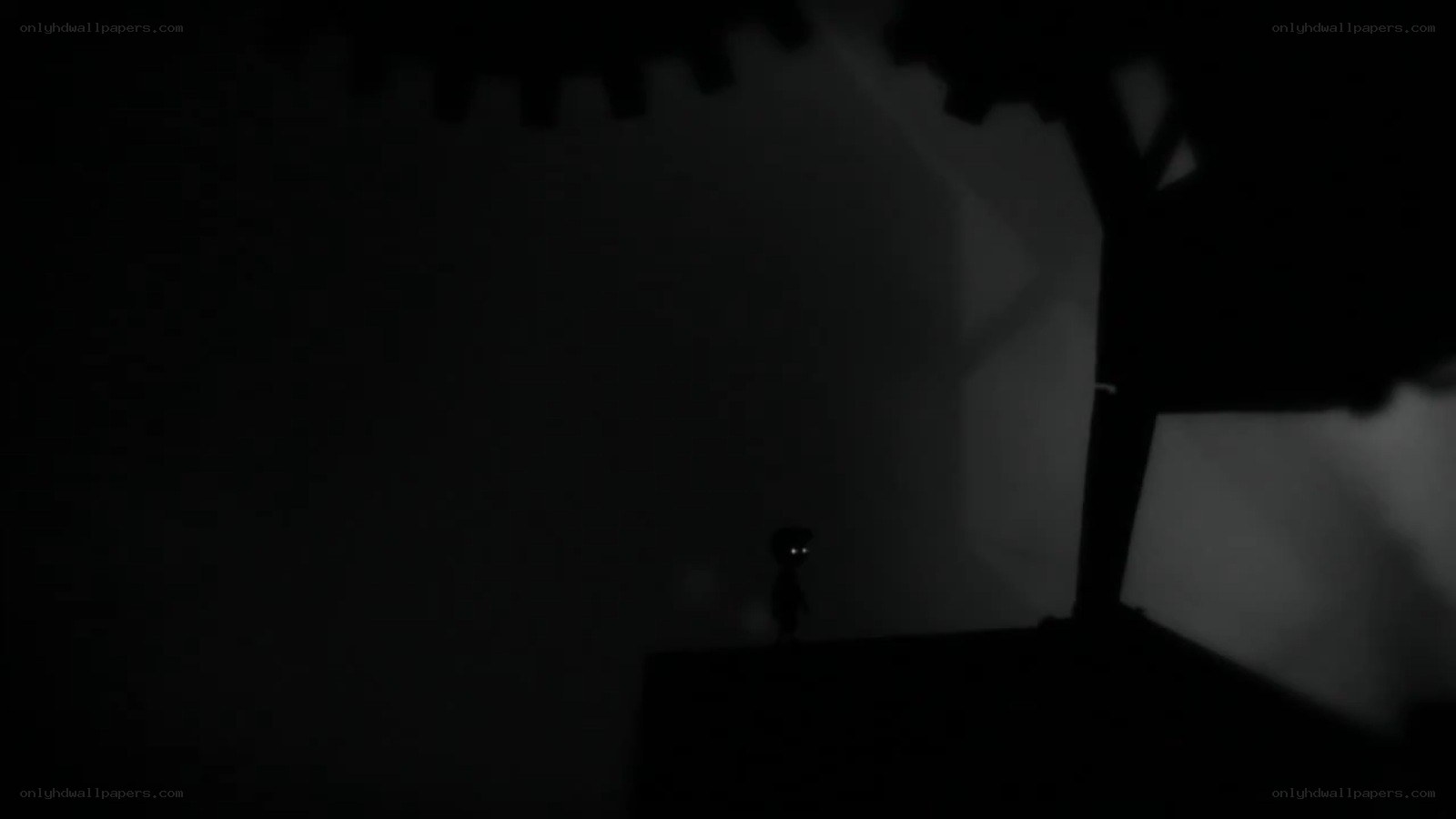 dark silhouette in a shadowy room