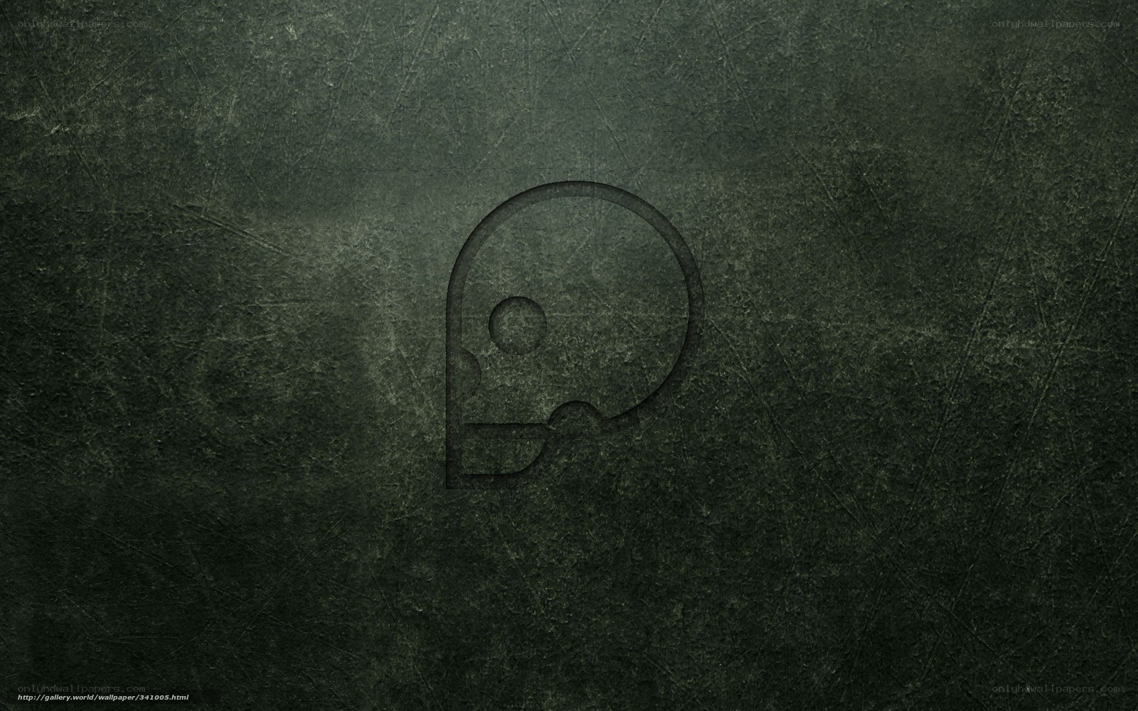 dark skull logo background