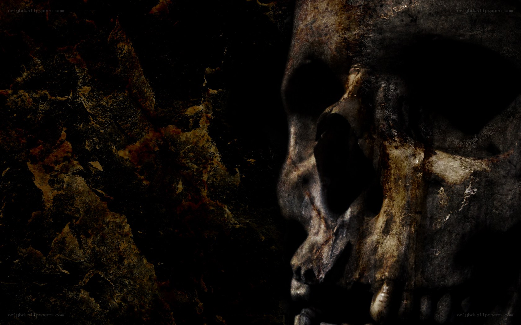 dark skull on rocky background
