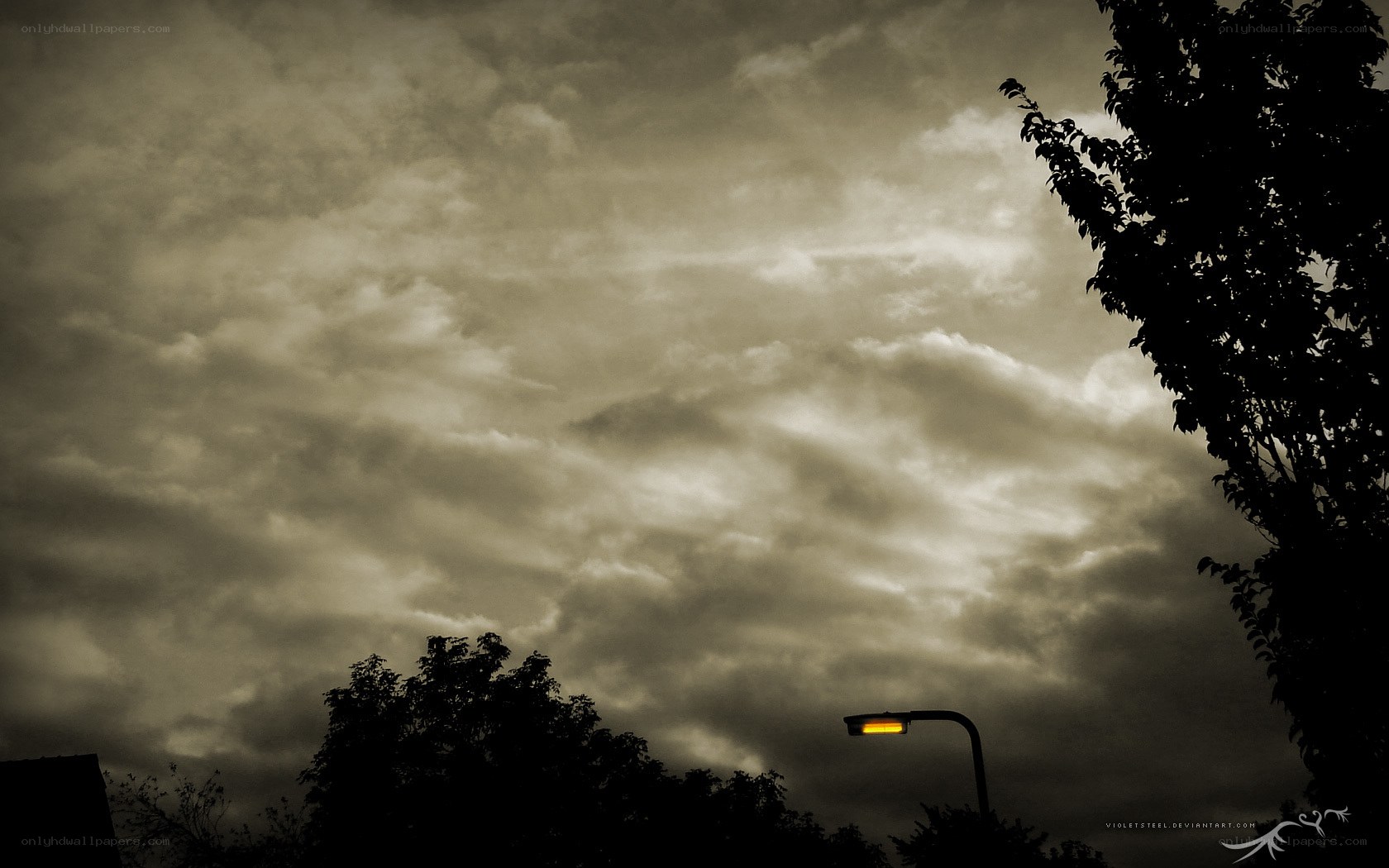 dark sky with streetlight
