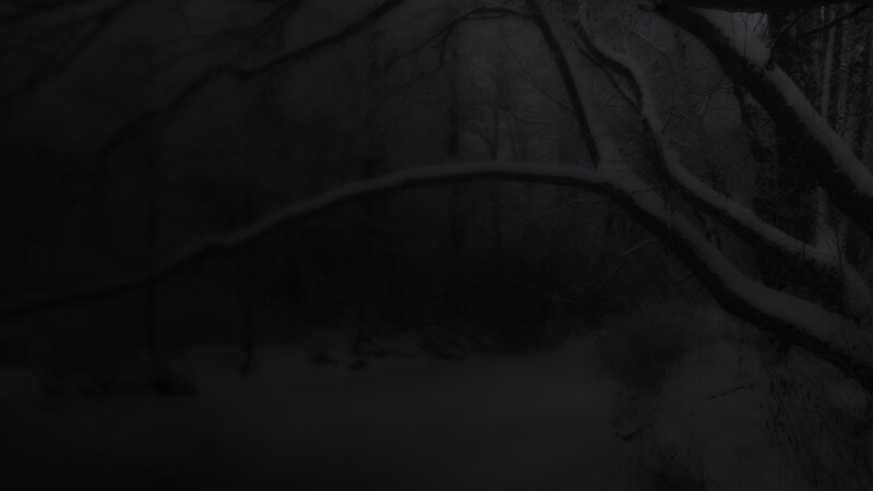 dark snowy forest scene