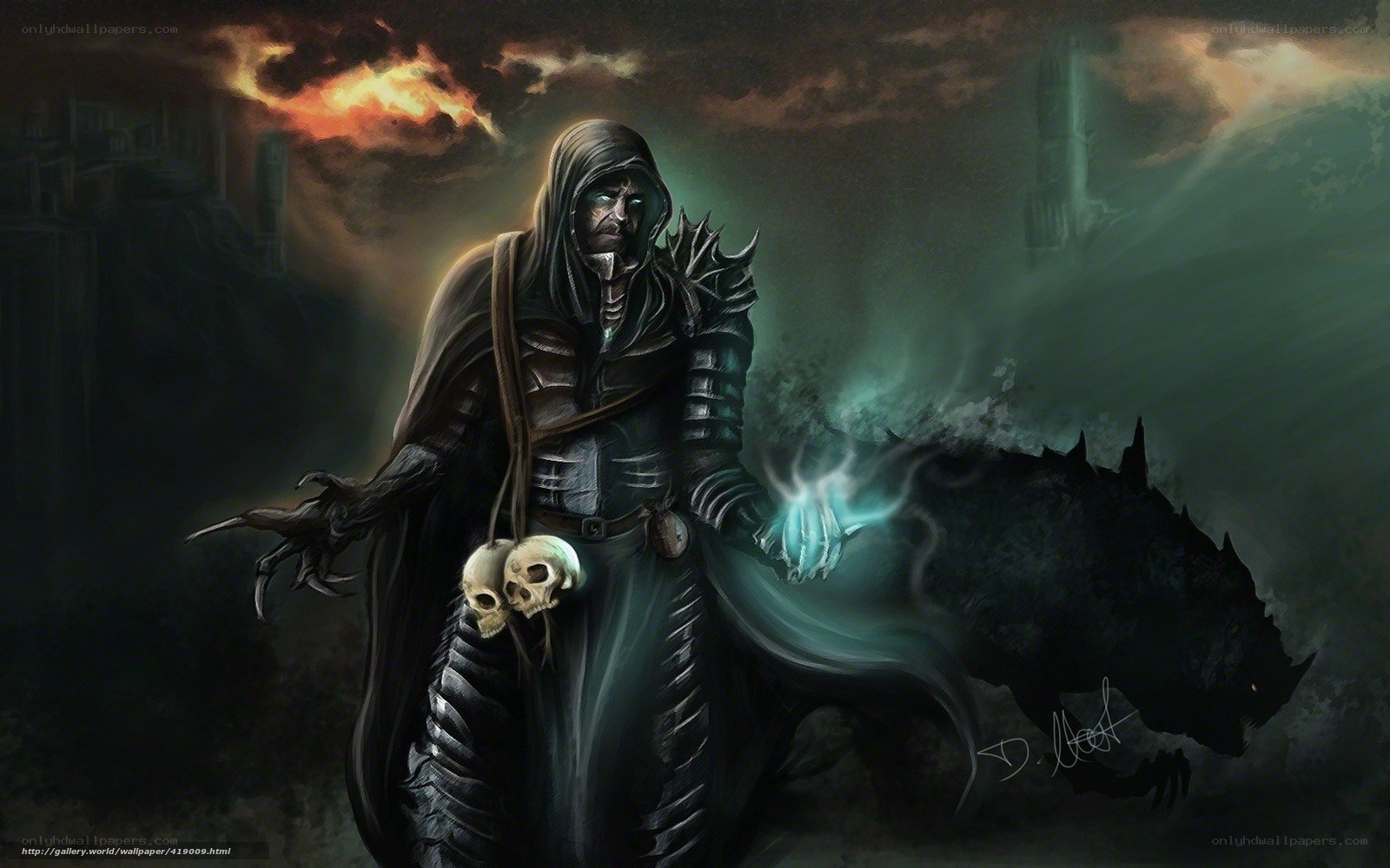dark sorcerer with skulls
