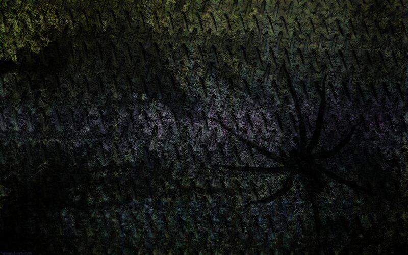 dark spider on textured surface