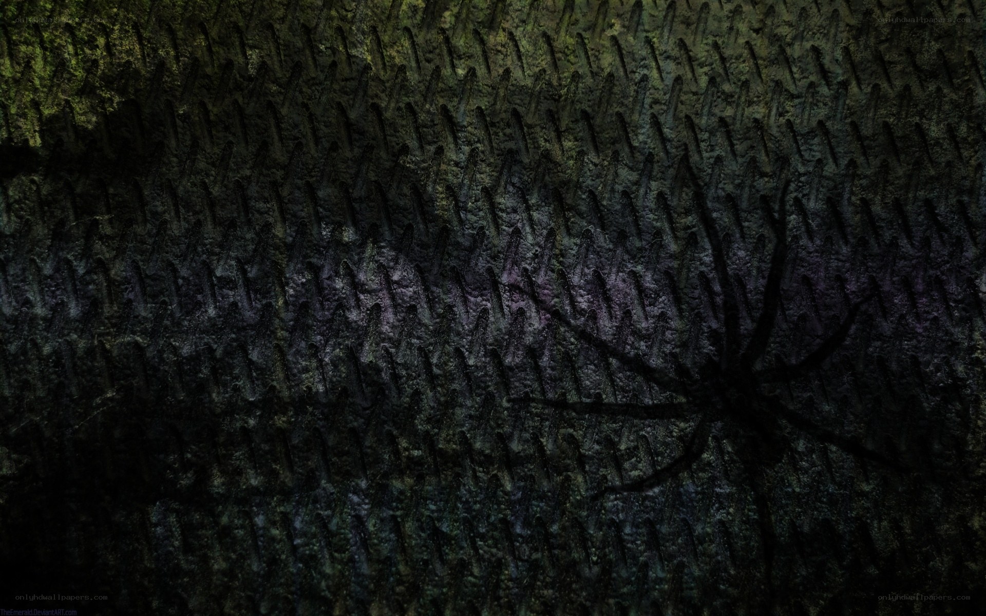 dark spider on textured surface