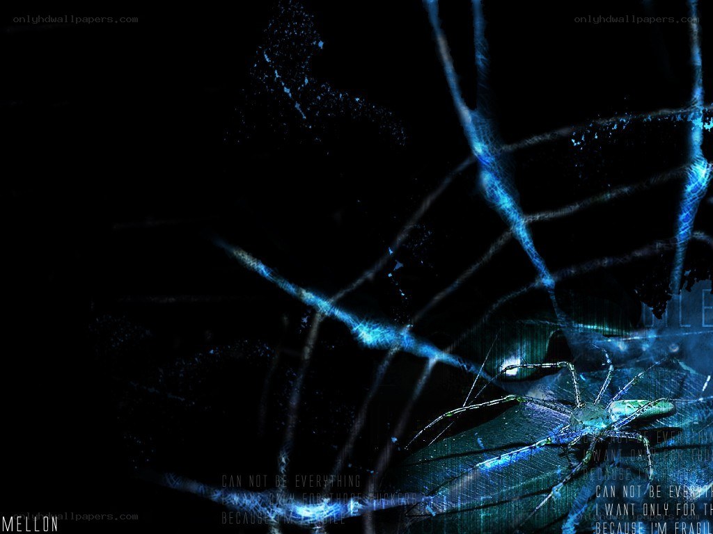 dark spider web design
