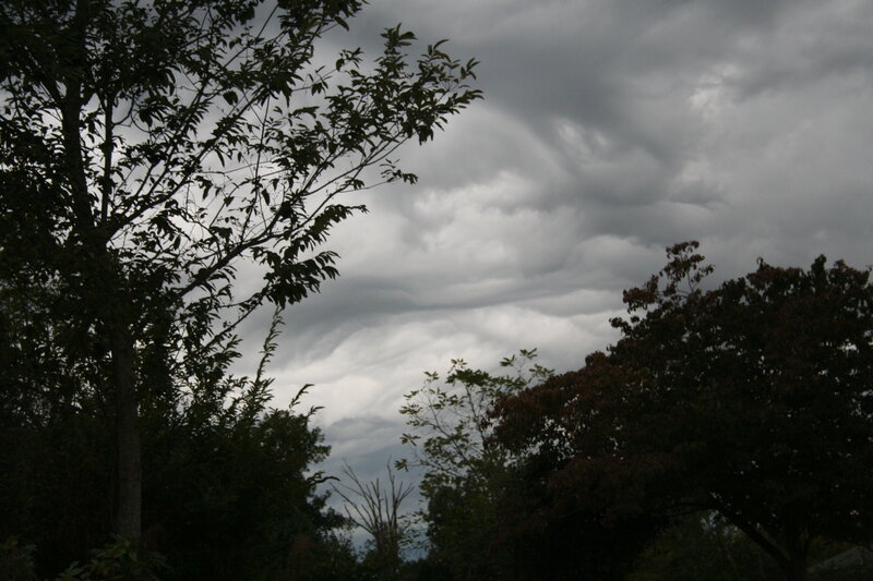 Dark Storm Clouds — Gray, Dramatic, Photograph, Trees, Sky