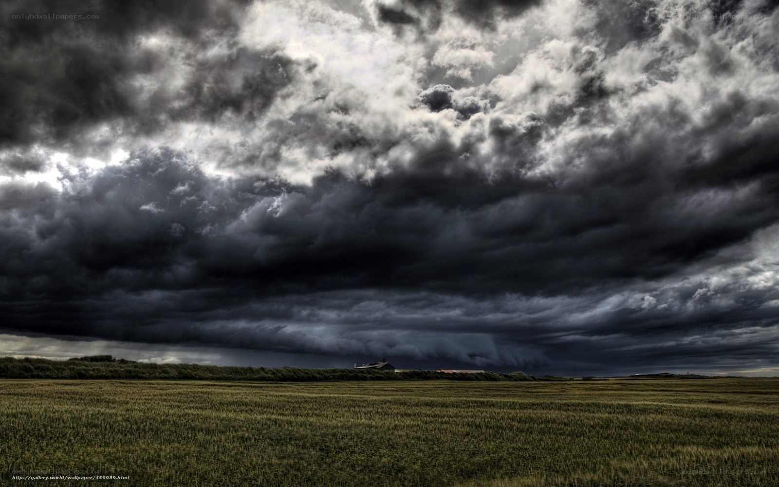 Dark storm clouds over a field