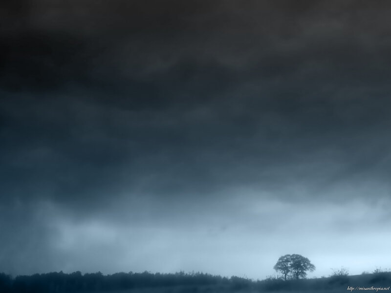 Dark storm clouds over a lone tree