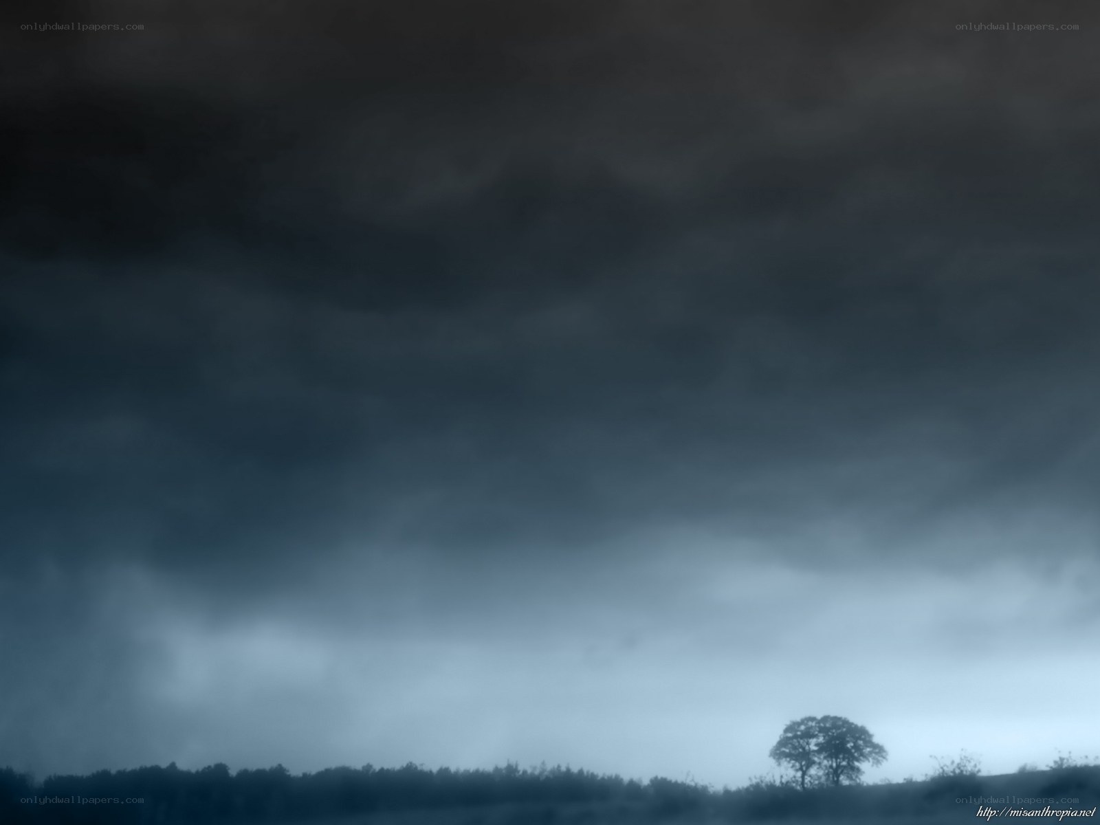 Dark storm clouds over a lone tree