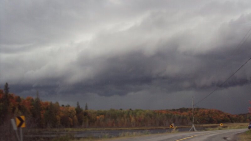 Dark storm clouds over autumn forest