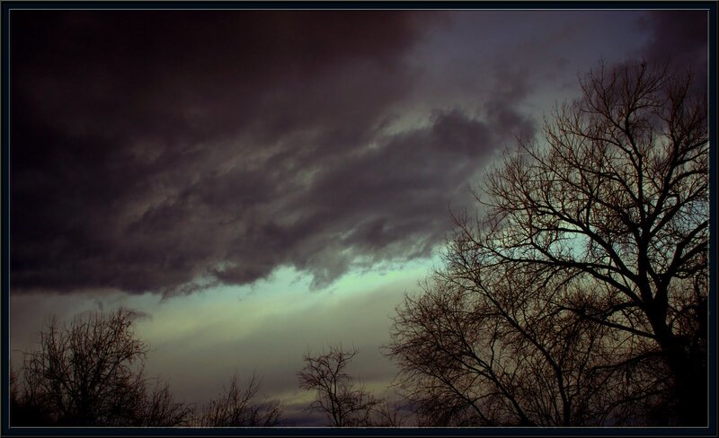 Dark storm clouds over bare trees