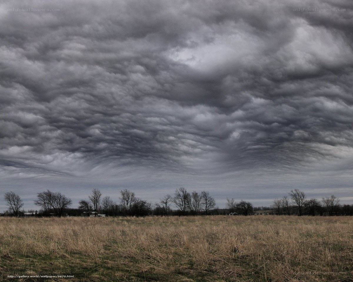Dark storm clouds over field