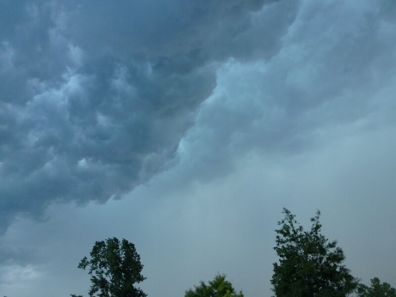 dark storm clouds over trees