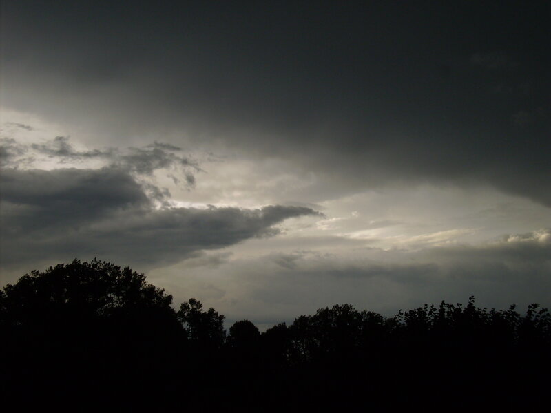 dark storm clouds over trees