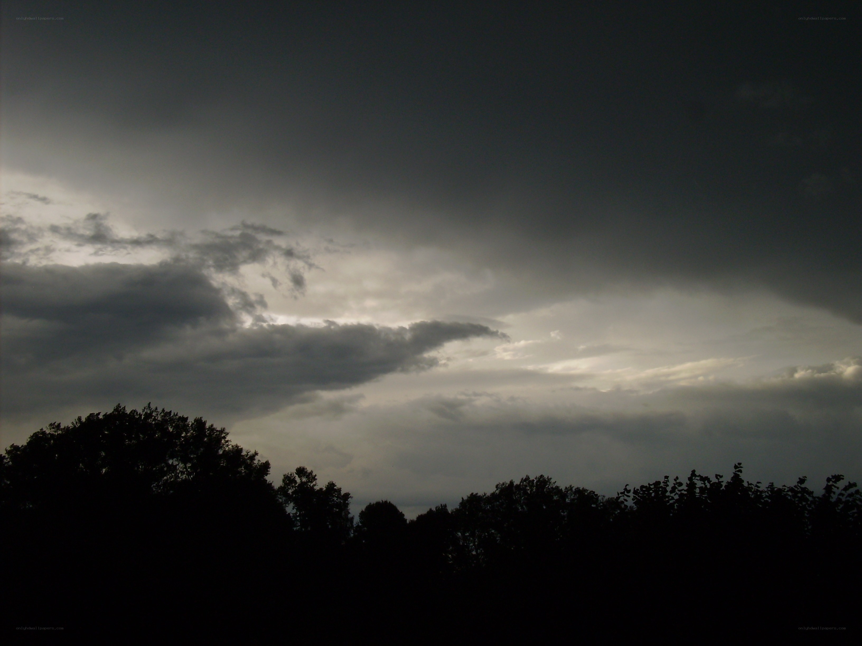 dark storm clouds over trees