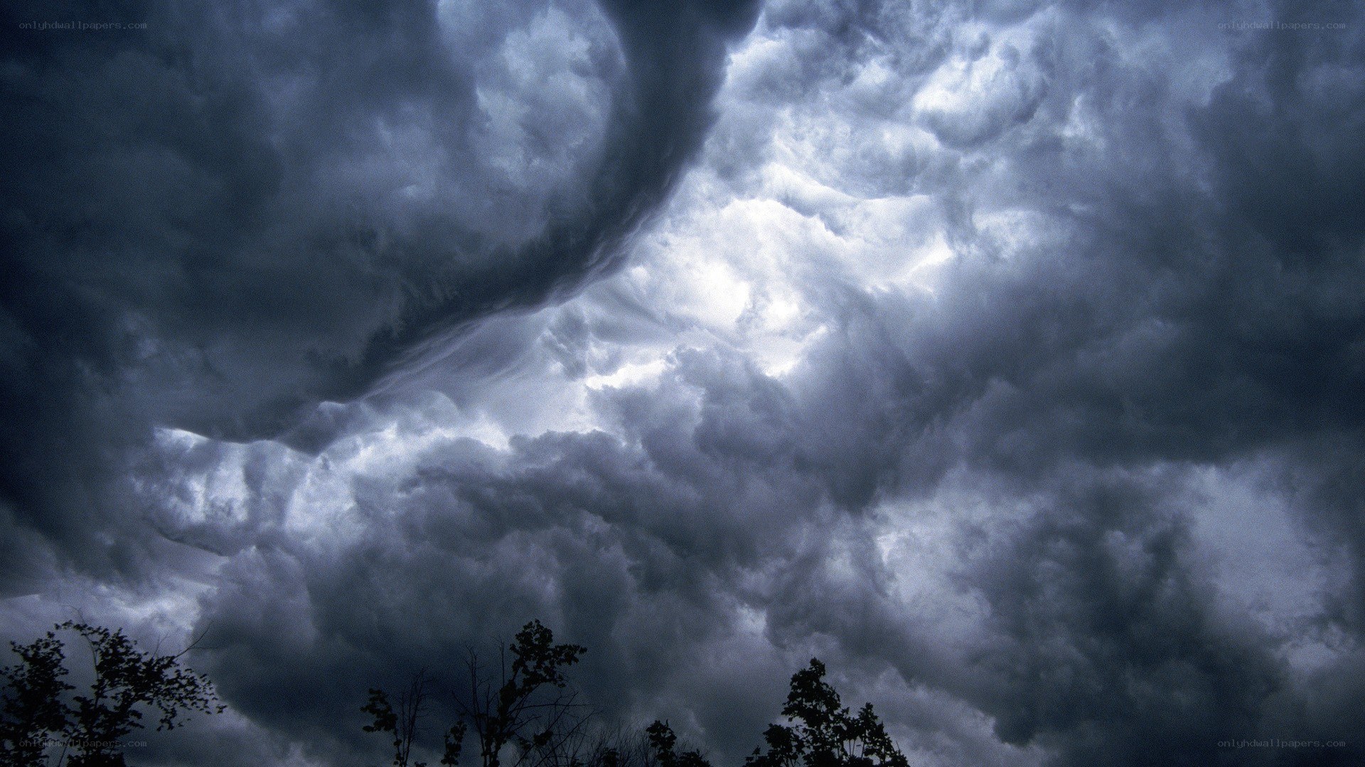 Dark storm clouds over trees