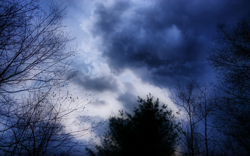 dark storm clouds over trees