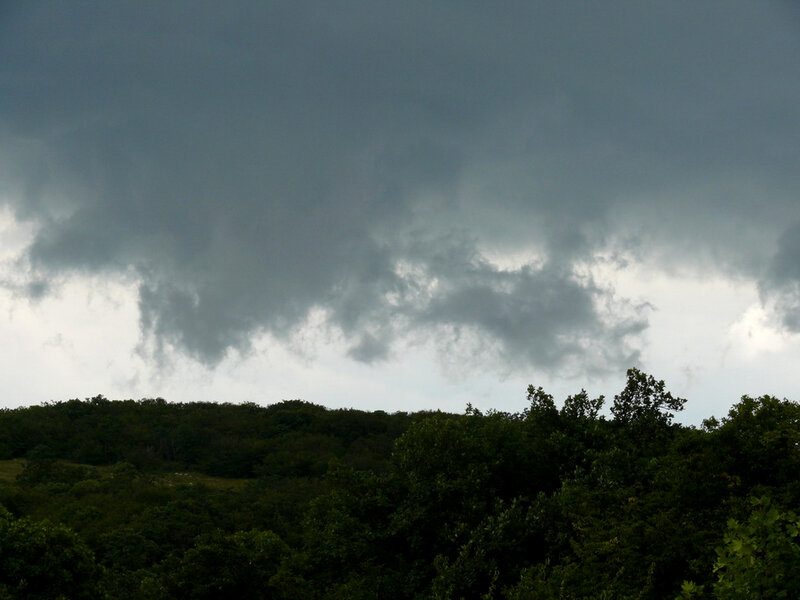 Dark Storm Clouds over Trees — Gray