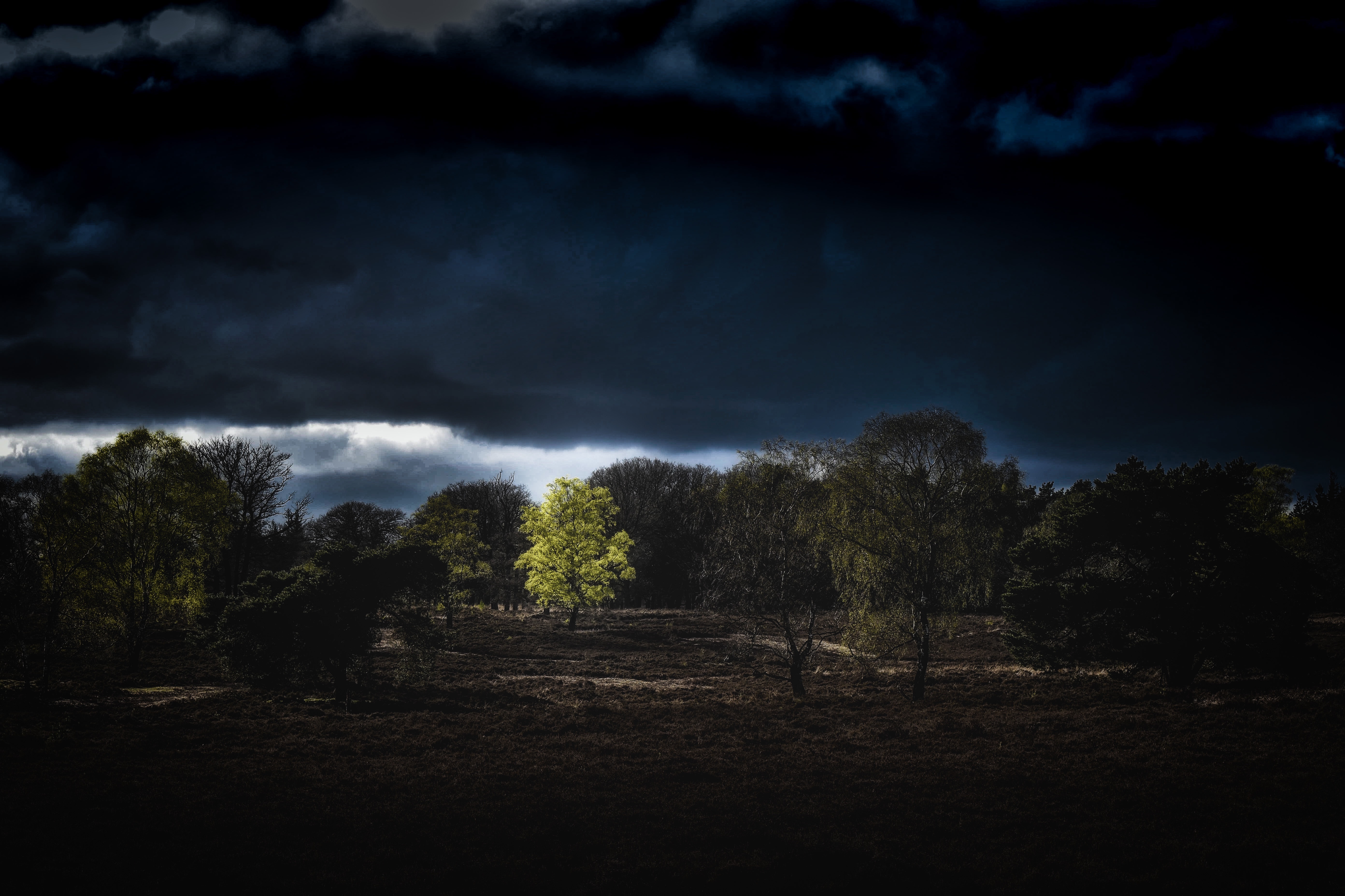 Dark storm over a forest clearing