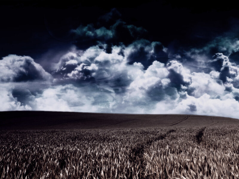 Dark storm over a wheat field