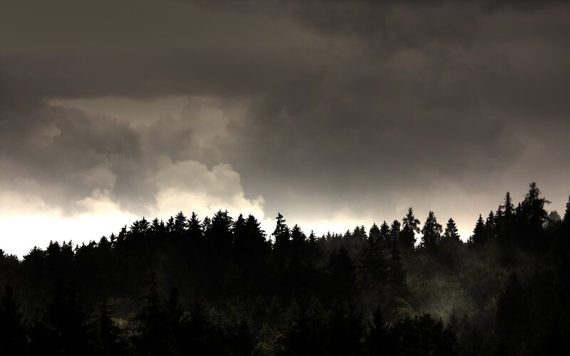Dark storm over forest