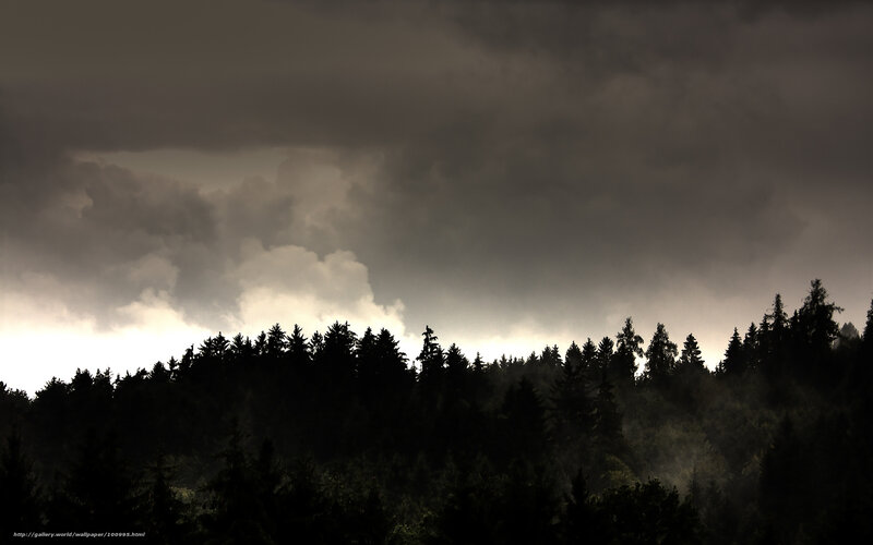 Dark storm over forest