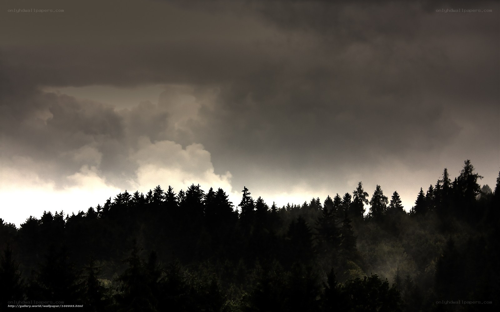 Dark storm over forest