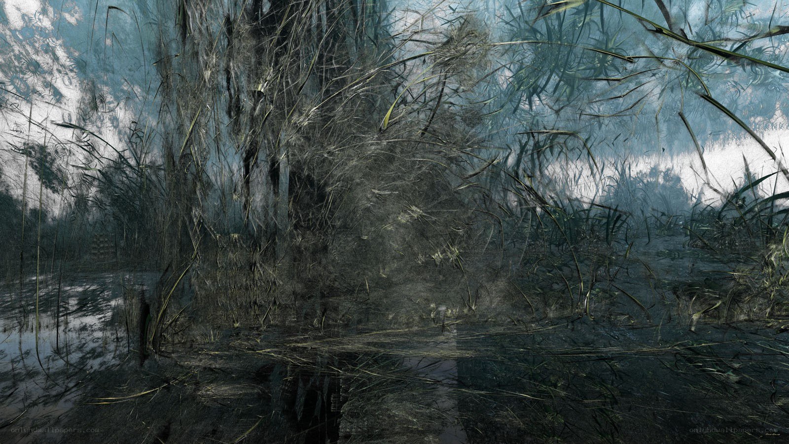 dark swamp with reeds