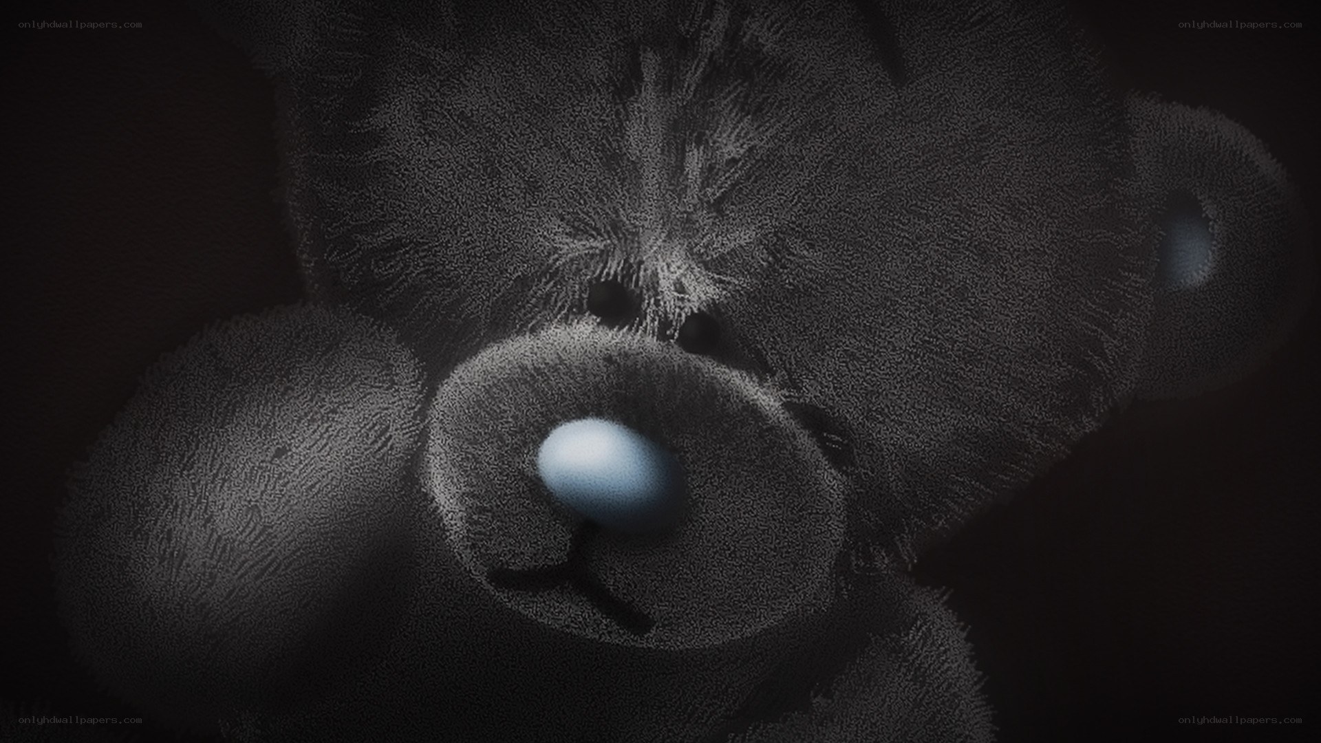 dark teddy bear close-up