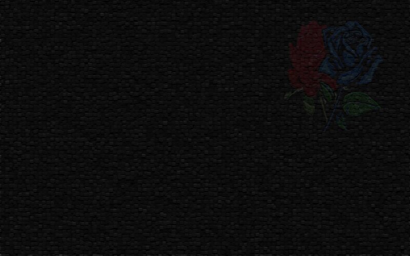dark textured background with roses